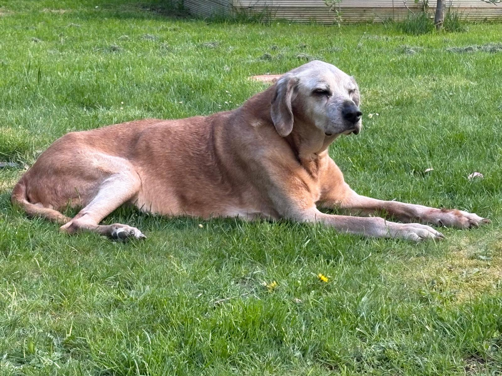 Beschreibung des Bildes